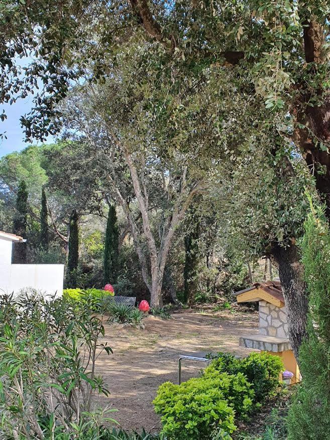Mas Mundo - 4 Ferienhaeuser In Calonge / Girona Exterior photo